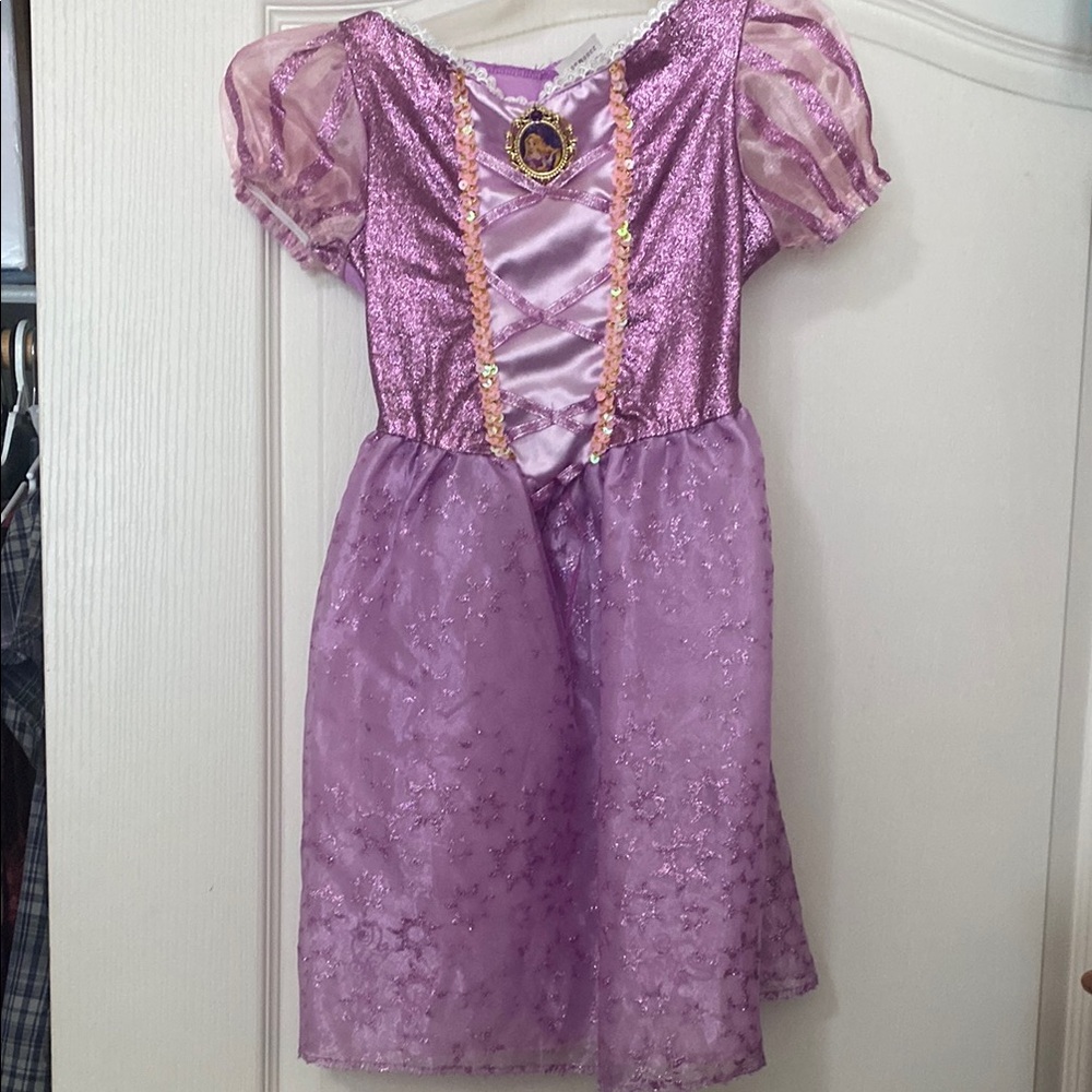 Tangled Sparkling Purple Princess Costume